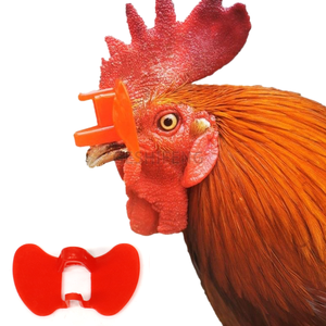Очки для курицы - Product Image 6