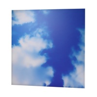 Panneau lumineux LED intelligent médical personnalisé, moderne, pour thérapie émotionnelle et ajustement de l'humeur, avec paysage naturel et gradation des tons de couleur