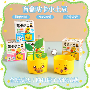 Caja Sorpresa de Semillas de Patatas Mini Guka, Fáciles de Cultivar, Juguete de Exploración de la Naturaleza para Niños, Plantas en Maceta para Escritorio - Product Image 5