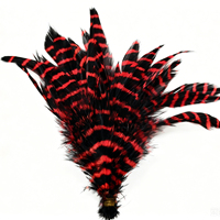 Plumes de coq Schappen barées teintées pour artisanat, matériel de montage de mouches de pêche DIY, accessoire pour boucles d'oreilles en plumes de carnaval, décoration de fête et de maison