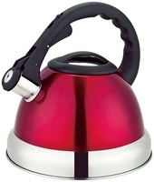 Bouilloire à thé sifflante en acier inoxydable de haute qualité de 3,0 L Bouilloire à eau au design moderne et classique avec une capacité de 2,5 L