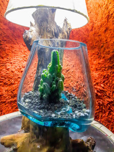 Eco-friendly <span class=keywords><strong>Driftwood</strong></span> Terrário De Vidro Fundido Aquário Preservado Pólo Musgo Para Terrários Jardinagem Arte Home Decor - Product Image 2