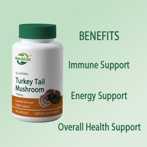 Suplemento de Extracto de Hongo Cola de Pavo Orgánico OEM/ODM - Apoyo Inmunológico - Sin OMG, Apto para Veganos, Sin Gluten - 90 Cápsulas - Product Image 3