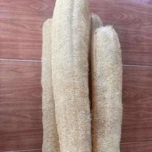 ฟองน้ำใยบวบธรรมชาติเป็นมิตรกับสิ่งแวดล้อมผลิตภัณฑ์ทางการเกษตรที่ไม่เป็นพิษผลิตภัณฑ์ทางการเกษตรที่ไม่สามารถเอาชนะได้สำหรับผู้ซื้อ - Product Image 1
