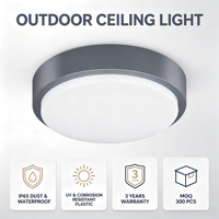 Plafonnier LED moderne en plastique de 250 mm pour projets commerciaux - Matériau PC durable - Fournisseur OEM en gros