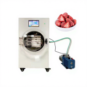 Lyophilisateur automatique pour la transformation alimentaire de fraises et mangues - Product Image 3