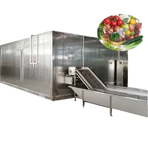 2023 New Innovations Impact Tunnel Freezer For Fruits and Vegetables