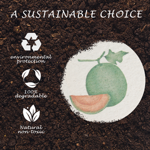 ความหนาแน่นสูง 10x10 ซม. ขนาดใหญ่นุ่มและปลอดสารพิษเยื่อไม้ฟองน้ําทําความสะอาดห้องครัวธรรมชาติฟองน้ําเซลลูโลสบีบอัด - Product Image 5