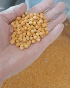 Guisantes amarillos secos de alta calidad, precio de envío