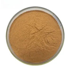 Hot selling Best quality Chinese Red Date powder/ Jujuba Seed Extract/ Jujube Extract Powder