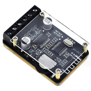 Placa amplificadora de diente azul estéreo para coche, módulo amplificador de potencia Digital de alta potencia de <span class=keywords><strong>10W</strong></span>/15W/20W, 12V/24V, 12V/24V, de alta potencia, de alta potencia, a prueba de agua, a prueba de agua - Product Image 2