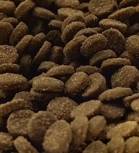 Cibo per Cani Adulti OEM ODM Cinese a Basso Prezzo, Vari Gusti e Forme, 18% di Contenuto Proteico, Cibo Secco per Cani - Product Image 1