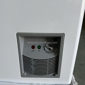 Congélateurs coffres domestiques certifiés Energy Star de 300 L, design compact avec thermostat numérique, 220 V, pour usage extérieur et commercial - Product Image 6