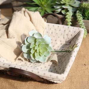 Suculenta Artificial de Interior <span class=keywords><strong>Echeveria</strong></span> Lenore Dean, Planta Natural 2024 - Product Image 5