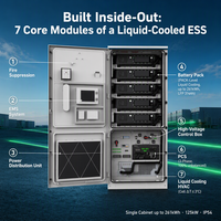 Système de stockage d'énergie industriel et commercial BESS à refroidissement liquide 261 kWh 125 kW, armoire de batterie LiFePO4 haute tension 832 V, IP54