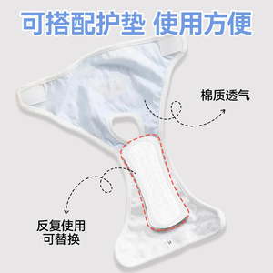 Pantalons menstruels pour chien en coton imprimé, couches pour animaux de compagnie, pantalons de protection contre la chaleur pour chien femelle - Product Image 4