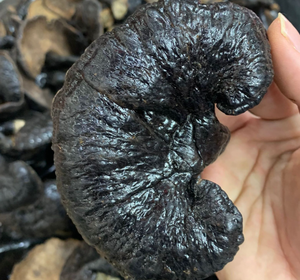 Оптовая продажа, различные высококачественные сушеные грибы <span class=keywords><strong>Ganoderma</strong></span> Lucid для продажи - Product Image 6