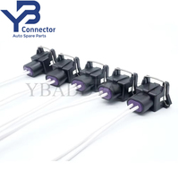 Conector YB 12110179 de 2 Pines, Arnés de Cables Eléctrico a Prueba de Agua, Conector de Inyector de Combustible para Delphi Packard