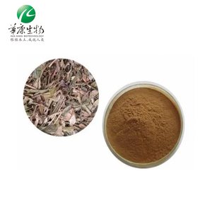 Source Factory Huakang Dahurian Rhododendron Leaf 10: 1 20:1 Polvo concentrado Extracto de azalea - Product Image 2