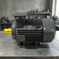 Moteur électrique triphasé 10 CV 1440 tr/min à entraînement par pied, à induction industrielle, robuste, avec enroulement en cuivre, modèle 1043F