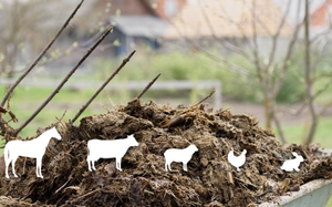 <span class=keywords><strong>ปุ๋ย</strong></span>อินทรีย์ผงจากมูลวัวหมักบริสุทธิ์ <span class=keywords><strong>ปุ๋ย</strong></span>ชีวภาพธรรมชาติ ช่วยเพิ่มความอุดมสมบูรณ์ของดินสำหรับพืชผลทางการเกษตร ข้าวสาลี ข้าว ข้าวโพด - Product Image 3