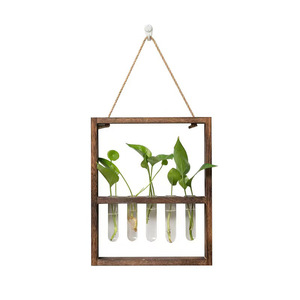 Wall Mounted Wooden Frame Hydroponic Glass Test Tube Plant <b>Stand</b> For Pothos And Indoor Greenery Decor - Product Image 4