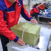 Otel Misafir Bagajları ve Büyük Etkinlikler İçin Tek Kullanımlık Hırsızlık Önleyici Plastik Güvenlik Mührü HUASHENG HS-PS6003 Model Güvenli Saklama Sağlar