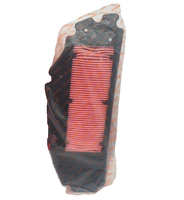 Filtre à air plissé neuf en plastique pour moto, compatible avec SYM RV250, Cruisym300, Joymax Z300, CRUI SYM300