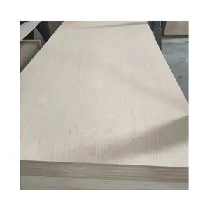 Linyi New Style 18mm 19mm All Film Faced Uv Birch Plywoods Sheet For Commercial door wooden