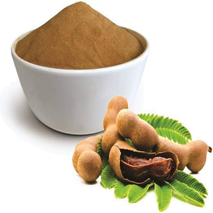 Tamarindus Indica Fruit Spray Dried Dry Extract Powder Premium Quality Manufacturer Supplier Exporter Bulk Wholesale - Product Image 2