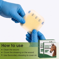 Pansement transparent auto-adhésif en hydrogel pour chevaux