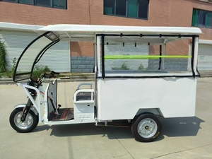 Tuk-Tuk 1,6 m directement de l'usine avec moteur 1500 W, véhicule à trois roues, capacité de transport de passagers avec pare-brise et protection contre la pluie - Product Image 4