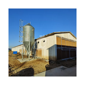 30000 poussins <span class=keywords><strong>oiseaux</strong></span> <span class=keywords><strong>cage</strong></span> <span class=keywords><strong>à</strong></span> poulet jour vieux poussin système couche poussins cages d'élevage utilisé équipement de volaille personnalisé capacité <span class=keywords><strong>Cage</strong></span> - Product Image 1