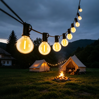 Guirlandes lumineuses LED G40 de 25 pieds, 50 pieds, 65 pieds, connectables, étanches, pour extérieur, avec prise US/EU