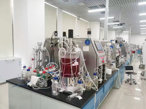 Nuovo Bioreattore da Laboratorio Automatico Innova 20L con Pompa, Pentola per Reazioni, <span class=keywords><strong>Autoclave</strong></span> Sterilizzante, 4 Ingressi Gas, Personalizzabile - Product Image 5