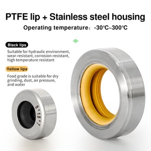 <b>PTFE</b> Lip Oil Seal with Stainless Steel Housing Single Lip and Dual Lip Rotary Shaft Oil Seal - Product Image 3