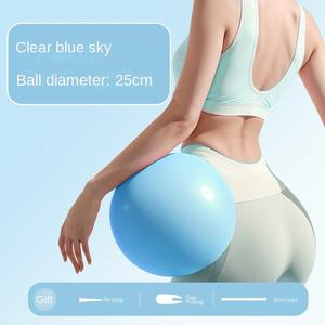 <span class=keywords><strong>Ballon</strong></span> <span class=keywords><strong>de</strong></span> <span class=keywords><strong>gymnastique</strong></span> rythmique mini <span class=keywords><strong>de</strong></span> 10 pouces, en PVC écologique, petit <span class=keywords><strong>ballon</strong></span> <span class=keywords><strong>de</strong></span> thérapie pour l'entraînement, le yoga et le Pilates - Product Image 6