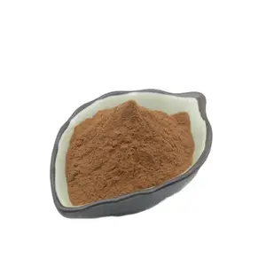 Organic Product 30% Purity Corosolic Acid Powder Wholesales Food Grade Superior Quality Pure Organic Hot Sale Corosolic Acid Powder 30% Cheap Price
