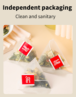 Marque Blanche 30 Sachets Boisson Quotidienne Multi-Ingrédients Bien-être pour Adultes, Tisane aux Feuilles de Mûrier et au Melon Amer