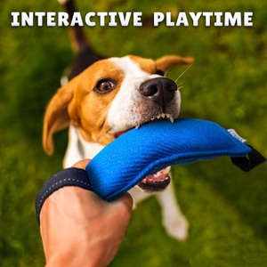 Yavru eğitim sert naylon yastık dayanıklı mavi köpek Bite römorkör çekme oyuncak W/ 2 yumuşak ve güçlü siyah Fetch için kolları - Product Image 2