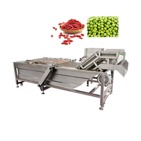 Fruitwas- en sorteermachine, Cassavewasmachine, Groentewas- en droogmachine