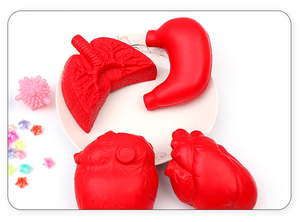 Hadiah Promosi medis ramah lingkungan Organ manusia busa PU bola Remas perut paru-paru ginjal untuk mengurangi stres potongan sesuai ukuran - Product Image 3