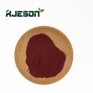 En iyi fiyat 100% saf avrupa yabanmersini özü 25% antosiyanidinler CAS 84082-34-8 yaban mersini özü  toz - Product Image 2