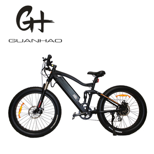 24"x 4.0 OEM/ODM A2b 1000W Big Power Motor 48V 21ah Snow Big Tire American CE Full Suspension <b>Frame</b> Fat Tire Electric <b>Bike</b> - Product Image 4