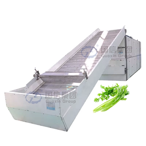 Ligne de production complète pour le séchage du céleri : équipement de séchage à bande maillée pour légumes et céleri - Product Image 1