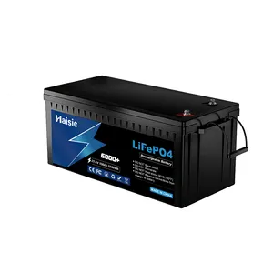 Haisic 600ah 500ah 400ah 300ah 100Ah 200ah 25,6 V 48V 60V 24V Lifepo4 Deep Cycle Lithium-Ionen-Batterie mit Bms für das Sonnensystem