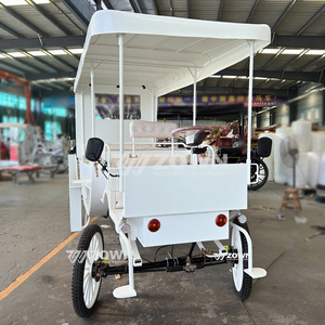 รถม้าแต่งงานสุดหรู ย้อนยุค สำหรับชมวิว ผลิตโดยผู้ผลิตยานพาหนะท่องเที่ยวยอดนิยม ขายดีเป็นพิเศษ - Product Image 5