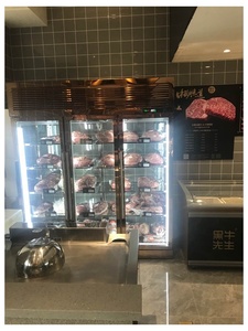 Réfrigérateur de présentation pour steak de bœuf et de mouton, affinage à sec, utilisé pour les bouchers - Product Image 5