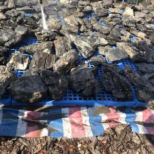 Piedra Seiryu, Piedra Dragón China para Decoración de Jardín, Acuario, <span class=keywords><strong>Roca</strong></span>, Accesorios de Decoración para Peceras - Product Image 4