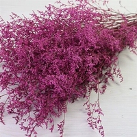 Bunga Kering Caspia Limonium, Rumput Kering, Dekorasi Rumah & Pernikahan, Buket Bunga, Fiore Caspia (Grosir)